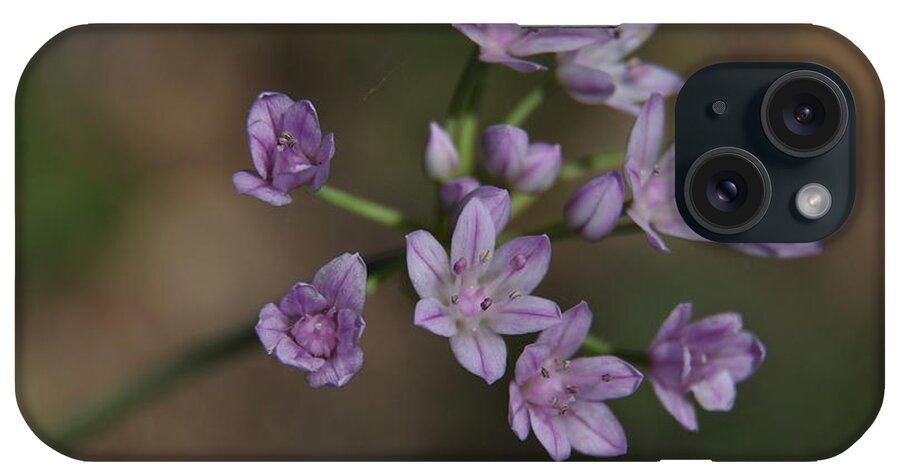 Texas Hill Country iPhone Case featuring the photograph Wild Garlic by Frank Madia
