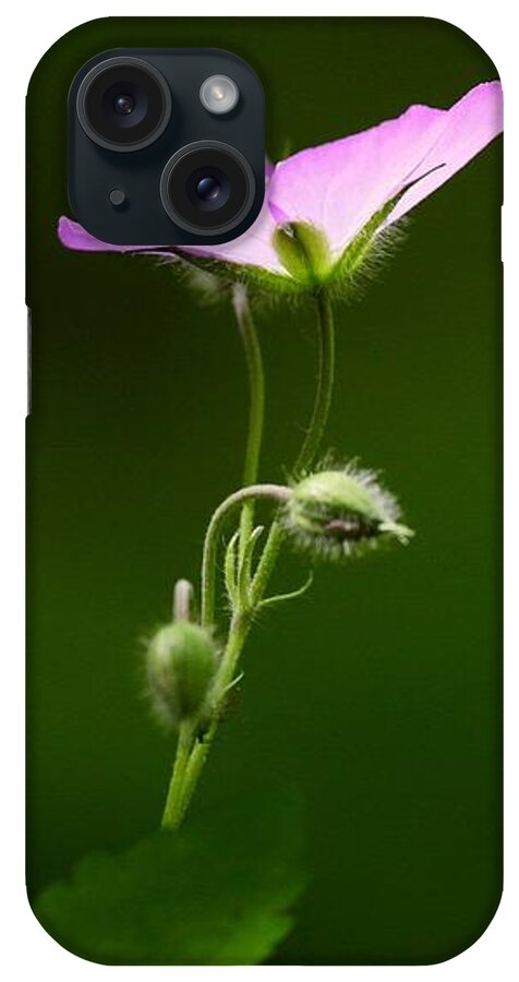 Wildflower iPhone Case featuring the photograph Wild Geranium in Lost Valley by Michael Dougherty