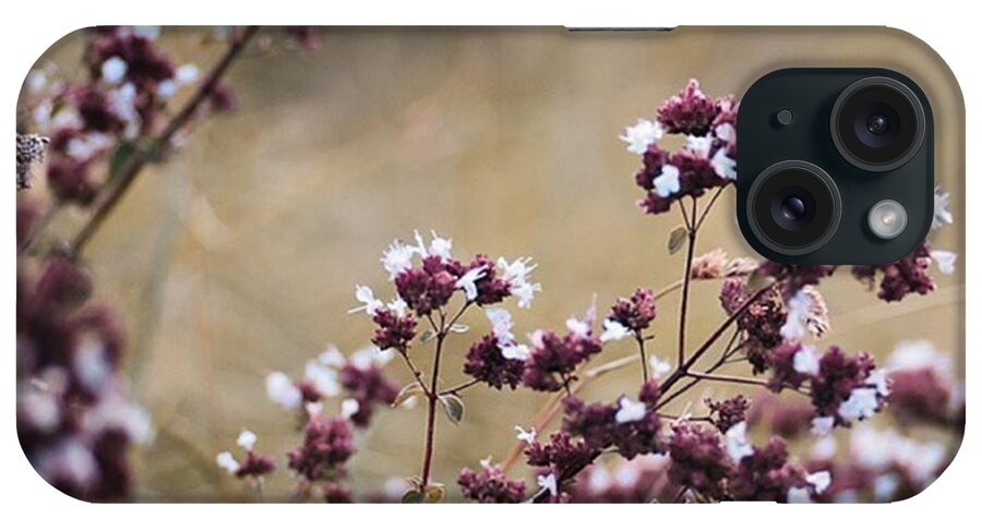 Summer iPhone Case featuring the photograph Wild Herbs

#herbs by Mandy Tabatt