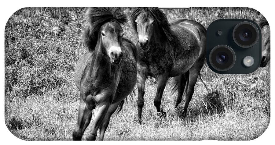 Nature iPhone Case featuring the photograph Wild Horses BW4 by Ingrid Dendievel