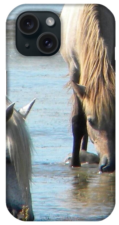 Wild Horses Drinking Water iPhone Case featuring the photograph Wild horses drinking water by Manuela Constantin