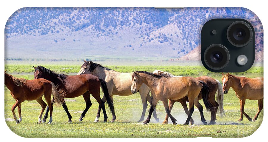 Eastern Sierra iPhone Case featuring the photograph Wild Horses by Mimi Ditchie