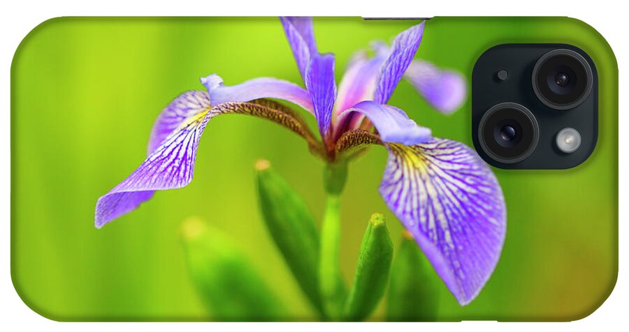 Wild Iris iPhone Case featuring the photograph Wild Iris by Nancy Dunivin
