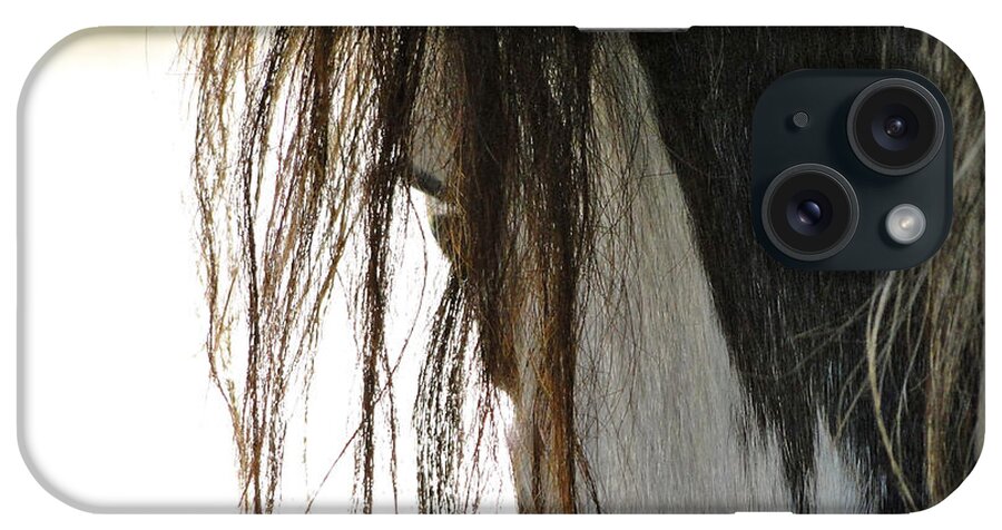 Horse iPhone Case featuring the photograph Wild Pinto Mustang by Liz Vernand