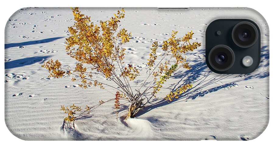 Monument iPhone Case featuring the photograph Wild Plant in White Sands by Roslyn Wilkins