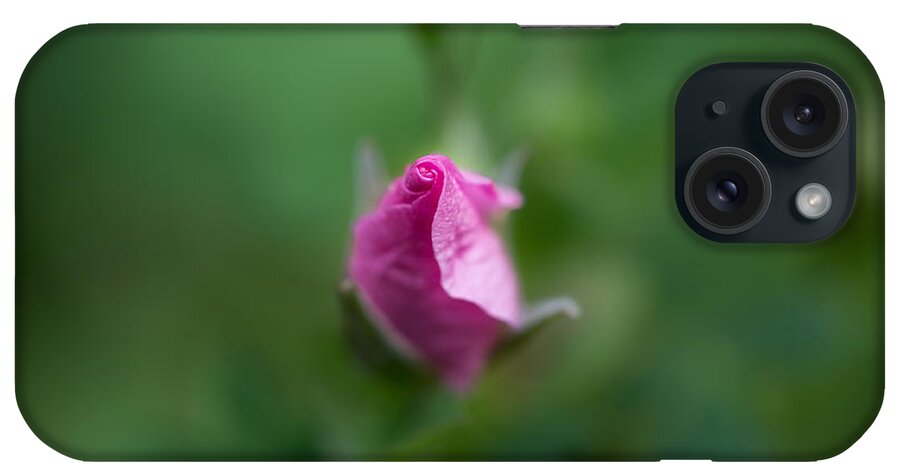 Canada iPhone Case featuring the photograph Wild Rose by Jakub Sisak