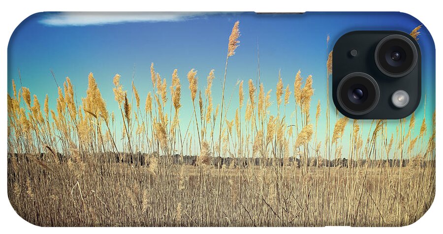 Nature iPhone Case featuring the photograph Wild Sea Oats by Colleen Kammerer