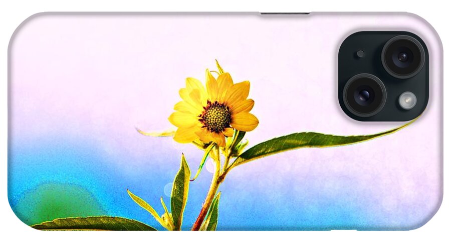 Wild Flower iPhone Case featuring the photograph Wild Sunflower by Lila Fisher-Wenzel