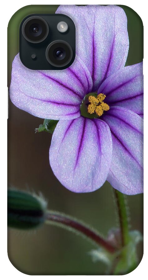Wildflower iPhone Case featuring the photograph Wilderness Flower 3 by Paul Johnson