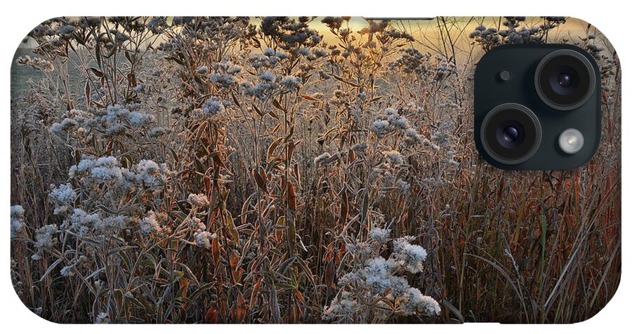 Glacial Park iPhone Case featuring the photograph Wildflower Shadows at Sunrise in Glacial Park by Ray Mathis