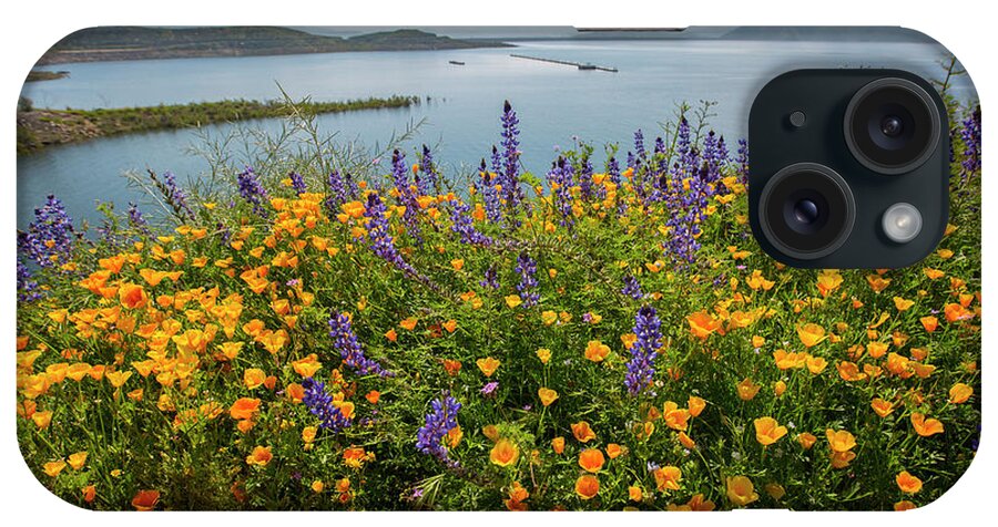 Photography iPhone Case featuring the photograph Wildflower Superbloom 12 by Daniel Knighton