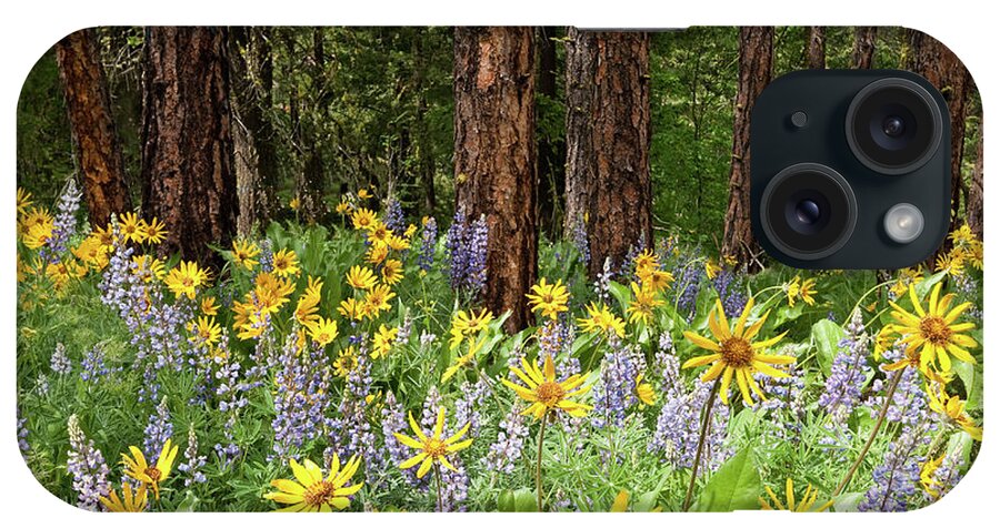 Arrowleaf Balsamroot iPhone Case featuring the photograph Balsamroot and Lupine in a Ponderosa Pine Forest by Jeff Goulden