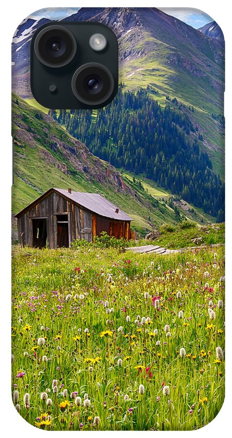 Wildflowers iPhone Case featuring the photograph Wildflowers in Animas Forks by David Soldano