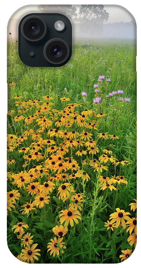 Glacial Park iPhone Case featuring the photograph Wildflowers of West Glacial Park at Sunrise by Ray Mathis