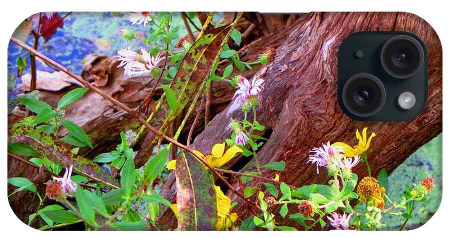Wildflowers iPhone Case featuring the photograph Wildflowers on a Cypress Knee by Barbara Bowen