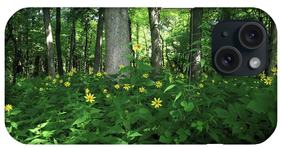 Forest iPhone Case featuring the photograph Wildflowers on the Edge of the Forest by Scott Kingery