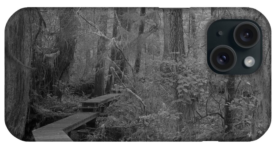Black And White iPhone Case featuring the photograph Willowbrae Rainforest Black And White by Adam Jewell