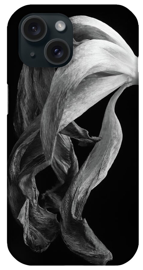 Tulip iPhone Case featuring the photograph Wilted Tulip by Kristen Wilkinson