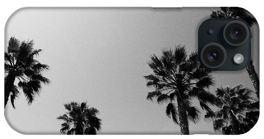 Palm Trees iPhone Case featuring the photograph Wind In The Palms- by Linda Woods by Linda Woods