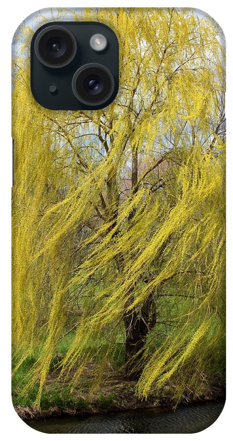 Willow iPhone Case featuring the photograph Wind in the Willow by Viviana Nadowski