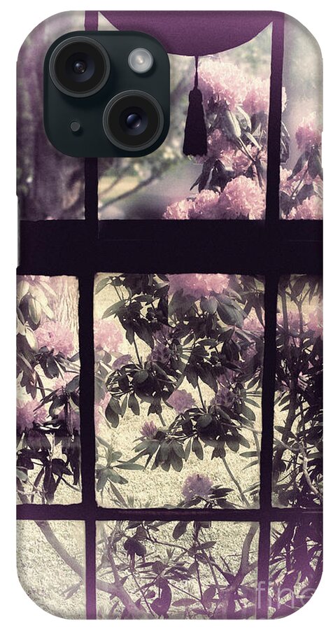 Window iPhone Case featuring the painting Window by Mindy Sommers