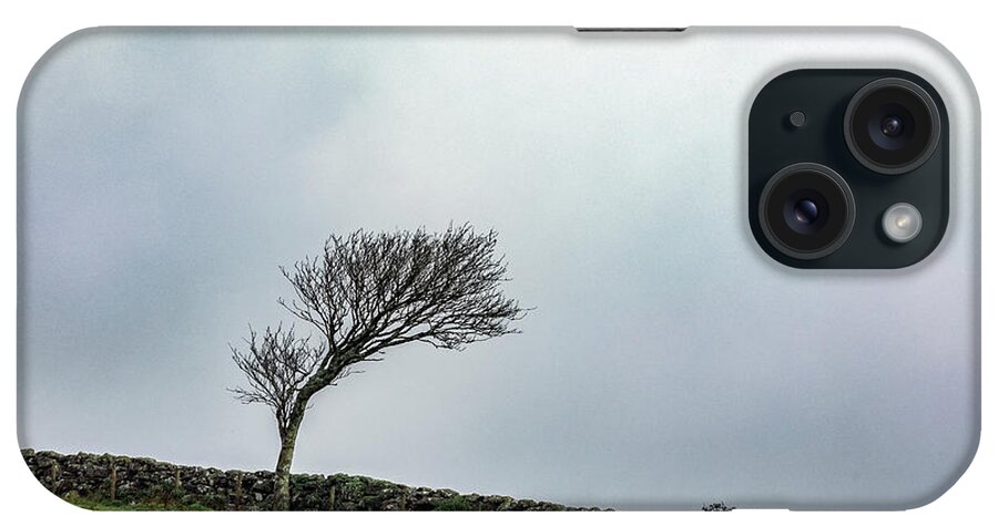 Dartmoor iPhone Case featuring the photograph Windswept Tree by Joana Kruse