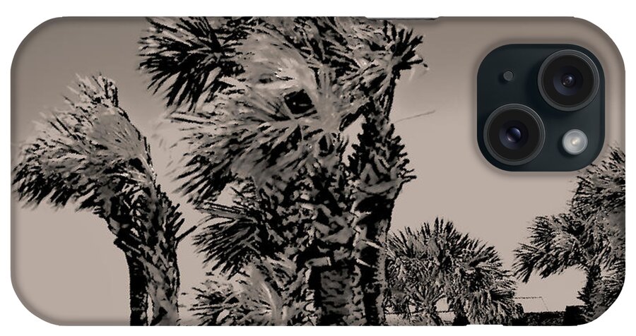 Palm Trees iPhone Case featuring the photograph Windy Day at Beach by Gina O'Brien