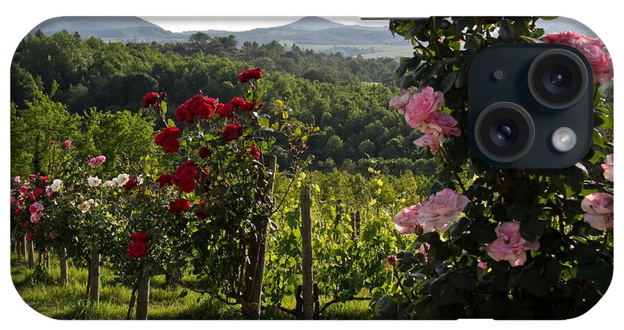 Tuscany iPhone Case featuring the photograph Wine and Roses by Roger Mullenhour