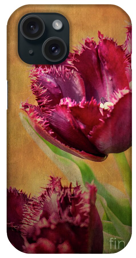 Wine iPhone Case featuring the painting Wine Dark Tulips from my Garden by Chris Armytage