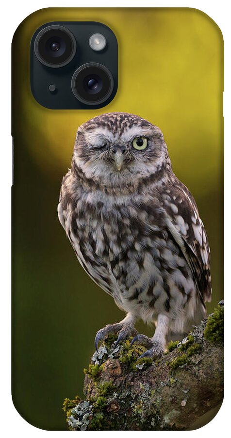 Little Owl iPhone Case featuring the photograph Winking Little Owl by Pete Walkden