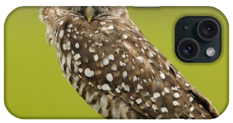 Owl iPhone Case featuring the photograph Winking Owl by Bradford Martin