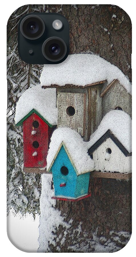 Winter iPhone Case featuring the photograph Winter Birdhouses by Tim Nyberg