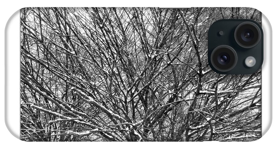 8-10-12 Collection iPhone Case featuring the photograph Winter Branches - Natural Abstract by Denise Beverly