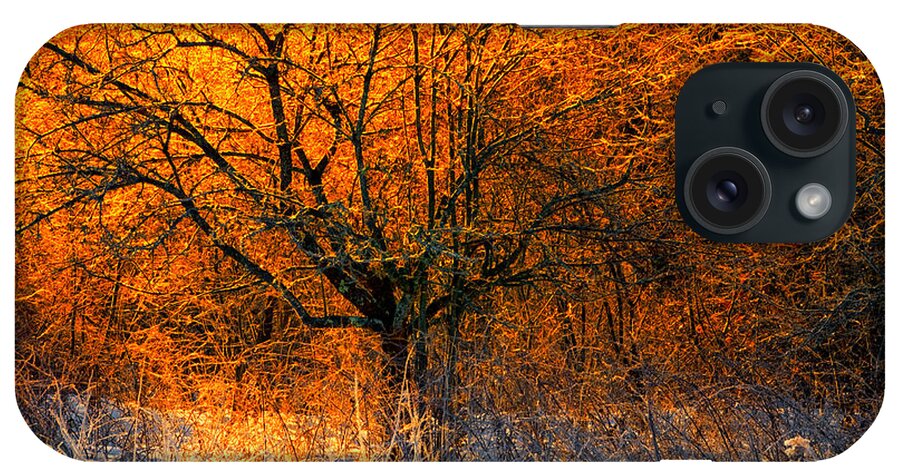 Winter Landscape iPhone Case featuring the photograph Winter Fire by Irwin Barrett