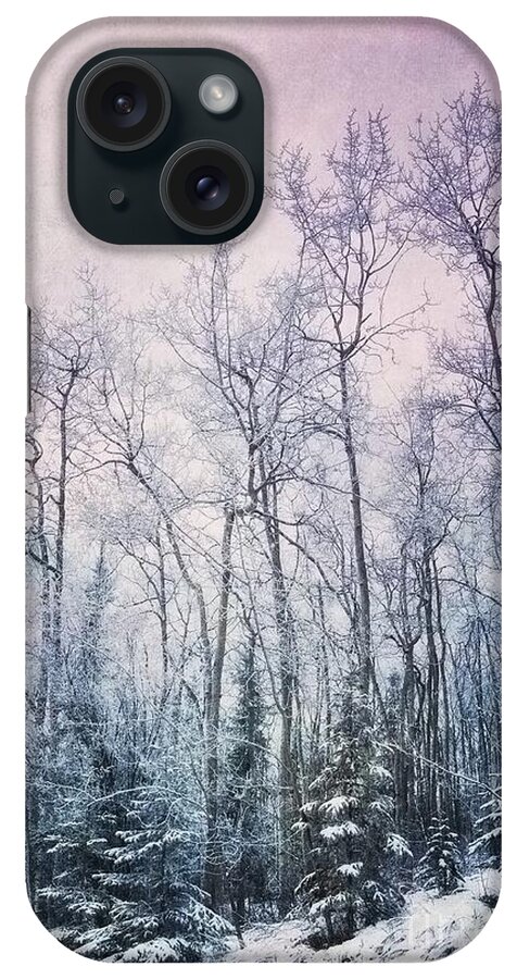 Forest iPhone Case featuring the photograph Winter Forest by Priska Wettstein