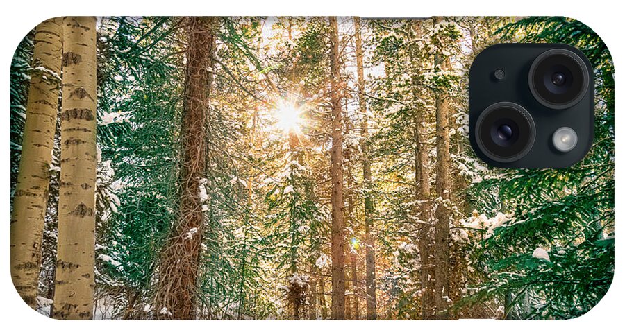 Winter iPhone Case featuring the photograph Winter Forest Sunshine by James BO Insogna