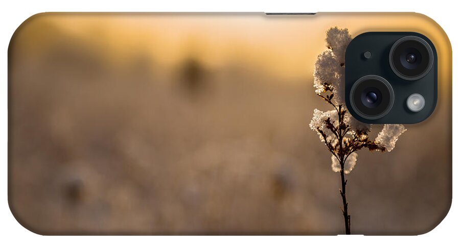 Winter iPhone Case featuring the photograph Winter Glow #1 by Mark Rogers