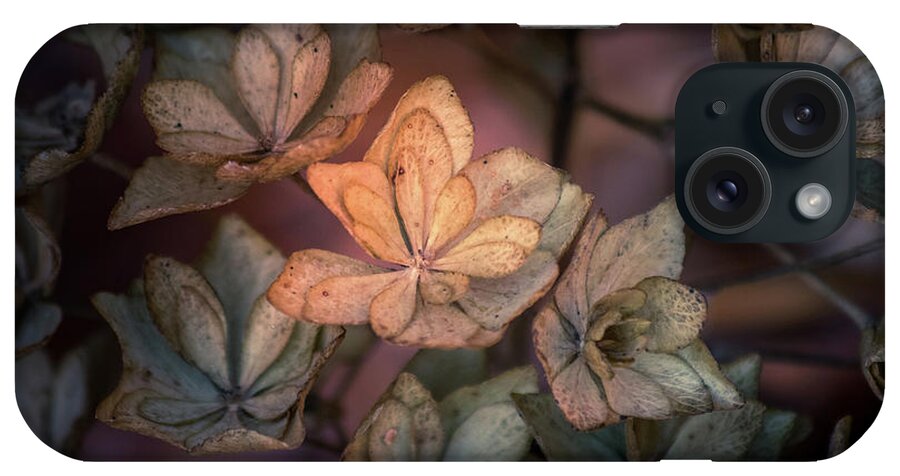 Flower iPhone Case featuring the photograph Winter Glow by Allin Sorenson