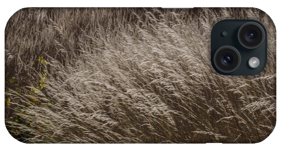 Landscape iPhone Case featuring the photograph Winter Grass by Paul Ross