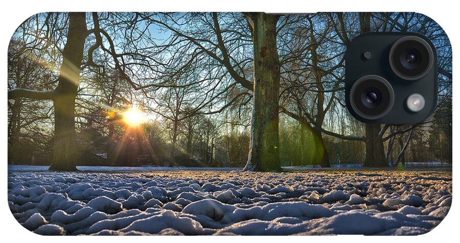 Sun iPhone Case featuring the photograph Winter In The Park by Frans Blok