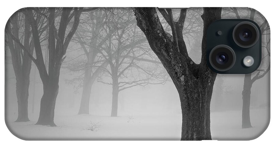 Landscape iPhone Case featuring the photograph Winter Landscape V by David Gordon