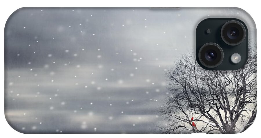 Four Seasons iPhone Case featuring the photograph Winter by Lourry Legarde