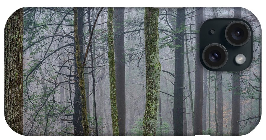 Fog iPhone Case featuring the photograph Winter Mist in the Forest by Thomas R Fletcher