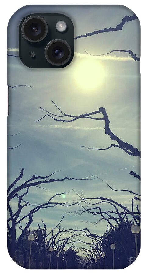 Amazing iPhone Case featuring the photograph Winter park by Patricia Hofmeester