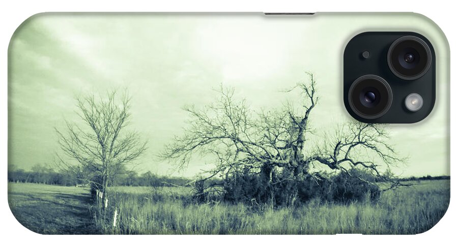 Pecan iPhone Case featuring the photograph Winter Pecan by Cheryl McClure