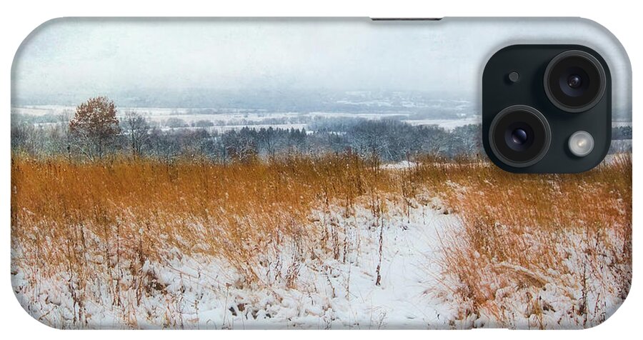 Jennifer Rondinelli Reilly iPhone Case featuring the photograph Winter Prairie at Retzer Nature Center by Jennifer Rondinelli Reilly - Fine Art Photography