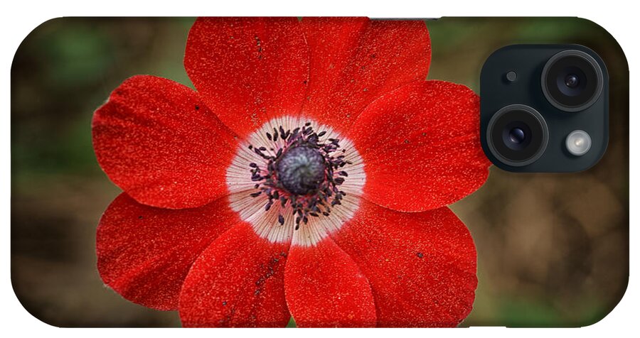 Flowers iPhone Case featuring the photograph Winter Queen by Uri Baruch