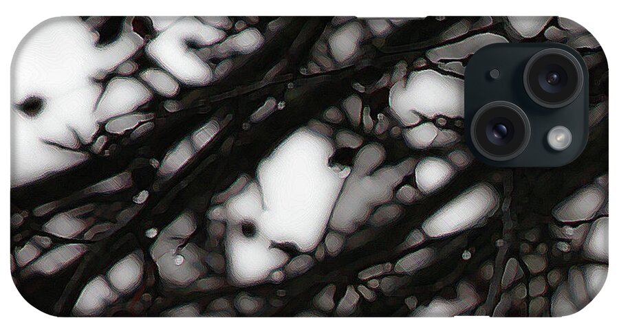 Branches iPhone Case featuring the photograph Winter Rain - 2 by Linda Shafer