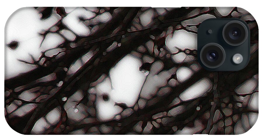 Branches iPhone Case featuring the photograph Winter Rain - 3 by Linda Shafer