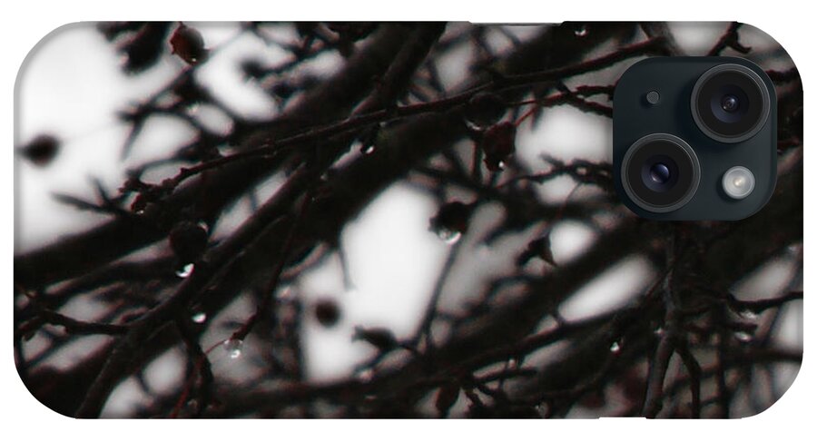 Branches iPhone Case featuring the photograph Winter Rain by Linda Shafer